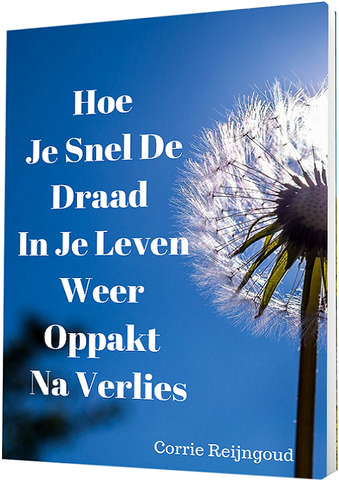 E-boek 'Hoe je snel je leven weer oppakt na verlies'